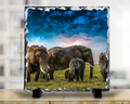Custom Square Photo Rock Slate