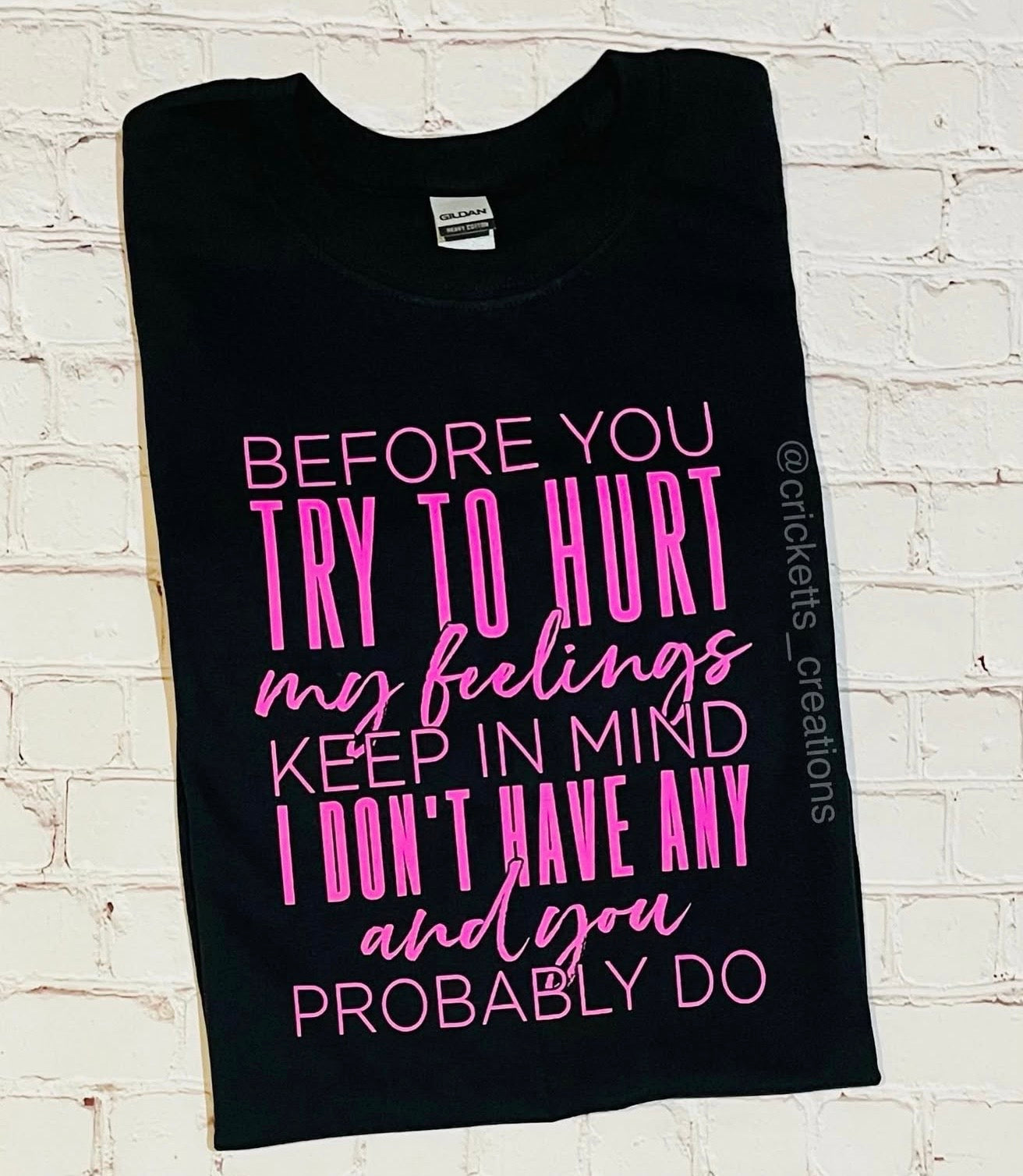Before You Try to Hurt My Feelings T-Shirt