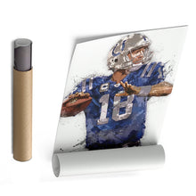 Load image into Gallery viewer, Peyton Manning Canvas Art – Indianapolis Colts Wall Decor
